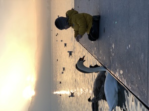 Image-preview_300x200