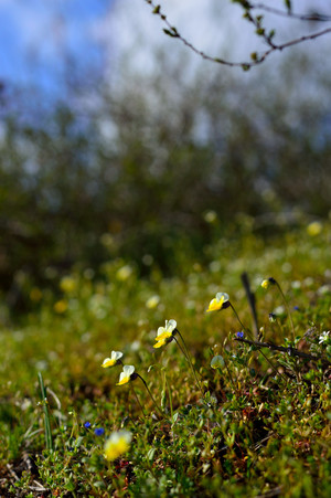 Image-preview_300x200
