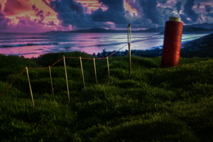 Image-preview_300x200
