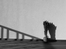 Image-rectangle_220_165