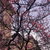 Image-square_50