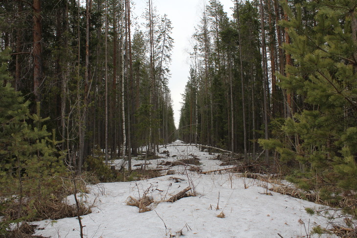 Image-normal