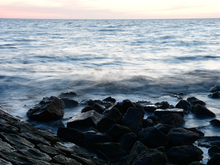 Image-rectangle_220_165