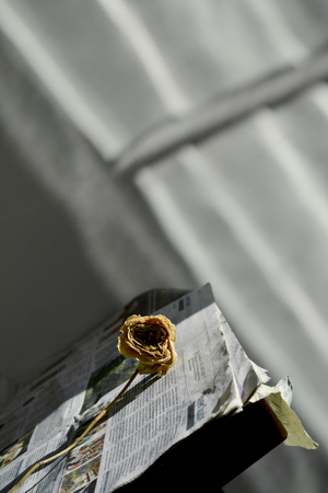 Image-preview_300x200