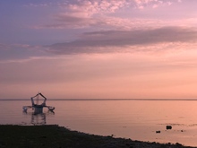 Image-rectangle_220_165