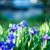 Image-square_50