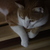 Image-square_50