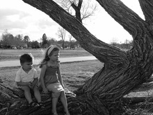 Image-rectangle_220_165