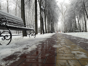 Image-preview_300x200