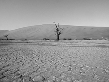 Image-rectangle_220_165