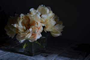 Image-preview_300x200