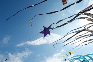 Image-preview_300x200