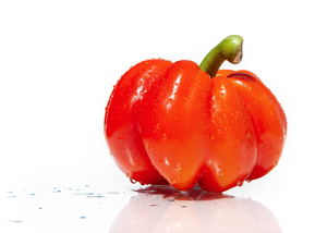 Image-preview_300x200