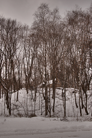 Image-preview_300x200
