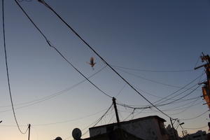 Image-preview_300x200
