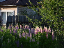 Image-rectangle_220_165