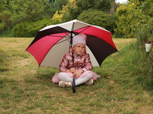 Image-rectangle_220_165