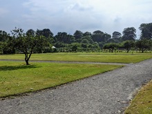 Image-rectangle_220_165