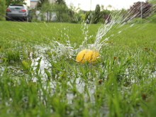 Image-rectangle_220_165