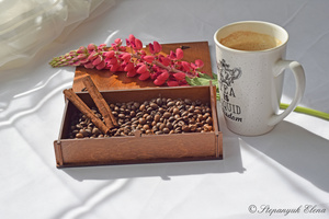 Image-preview_300x200