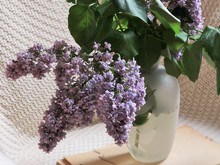 Image-rectangle_220_165