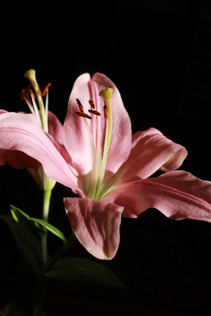 Image-preview_300x200