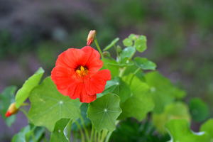 Image-preview_300x200