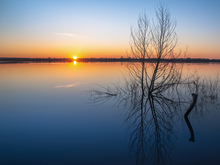 Image-rectangle_220_165