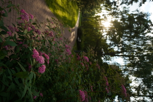 Image-preview_300x200
