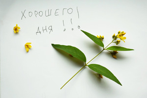 Image-preview_300x200