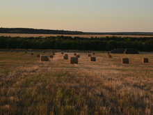 Image-rectangle_220_165