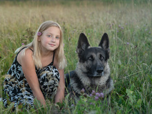 Image-rectangle_220_165