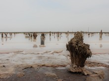 Image-rectangle_220_165