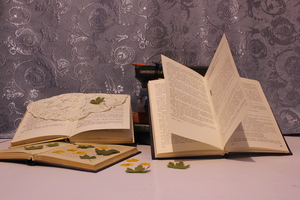 Image-preview_300x200