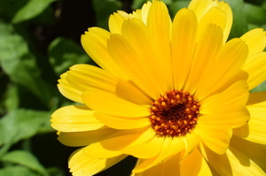 Image-preview_300x200