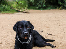 Image-rectangle_220_165