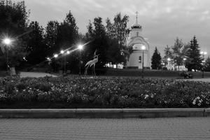 Image-preview_300x200