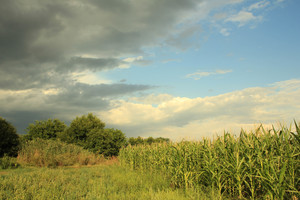 Image-preview_300x200