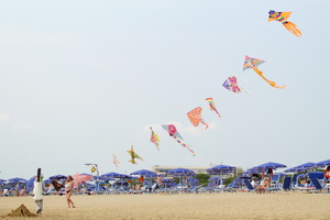 Image-preview_300x200