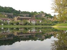 Image-rectangle_220_165