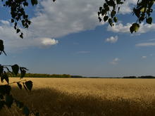 Image-rectangle_220_165