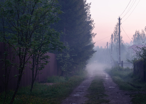 Image-preview_300x200