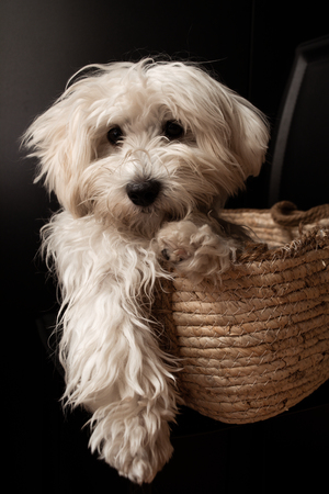 Image-preview_300x200