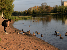 Image-rectangle_220_165