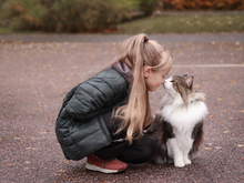 Image-rectangle_220_165