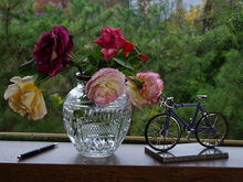 Image-rectangle_220_165