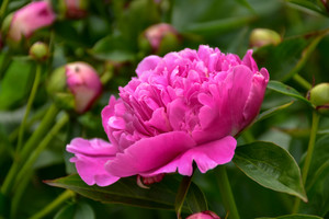 Image-preview_300x200