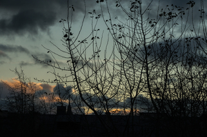 Image-preview_300x200