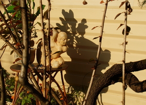 Image-preview_300x200