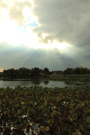 Image-preview_300x200